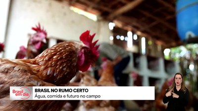 Brasil no Rumo Certo: país atinge 100 mil cisternas instaladas no Nordeste desde 2023