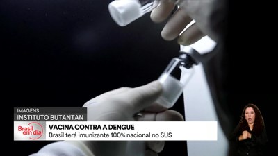 Vacina contra a dengue 100% nacional vai ser oferecida pelo SUS em 2026