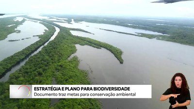 Ministério lança estratégia para impulsionar conservação da biodiversidade nos próximos cinco anos