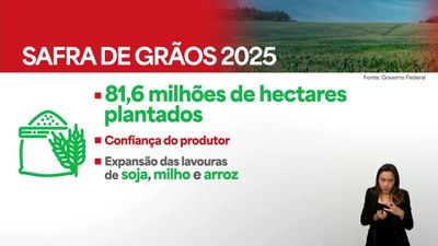 Produção de grãos deve ser a maior da história, segundo o IBGE