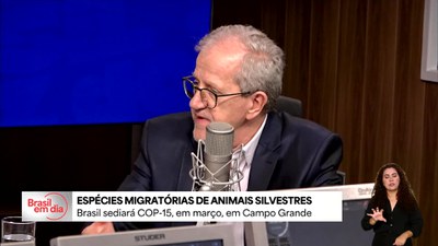 Confira todas as notícias da edição de quarta, 28 de janeiro