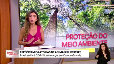 Brasil vai sediar COP 15 em março, em Campo Grande (MS)