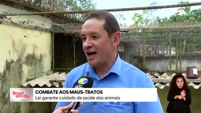 Presidente sanciona campanha Julho Dourado para promover saúde de animais domésticos