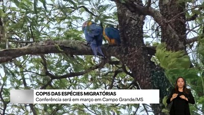 COP 15 sobre Espécies Migratórias vai ser realizada em março em Campos Grande (MS)