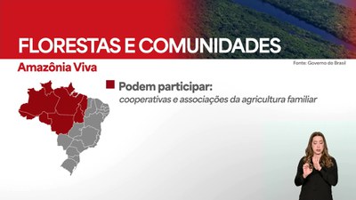 Fundo Amazônia vai destinar R$ 80 milhões para fortalecer produção em comunidades