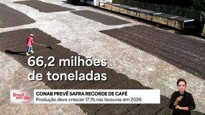 Conab prevê safra recorde de café
