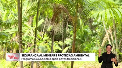 Programa ECOSociobio vai fortalecer economias da sociobiodiversidade em Unidades de Conservação