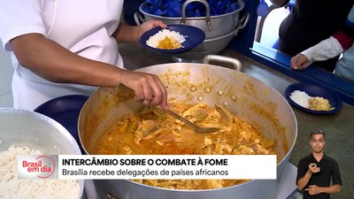 Brasil apresenta políticas de proteção social a representantes de países africanos
