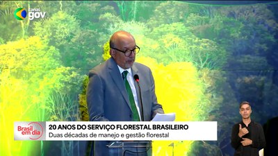Serviço Florestal Brasileiro completa duas décadas de atuação no manejo e gestão das florestas públicas
