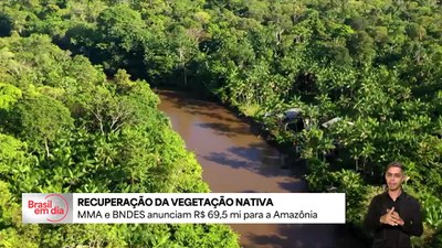 R$ 70 milhões vão ser investidos para restaurar áreas na Amazônia Legal