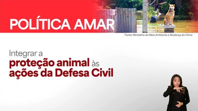 Governo anuncia medidas para fortalecer proteção animal e amplia multas