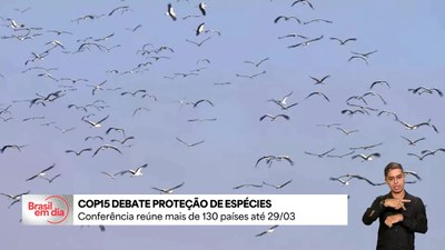COP 15 reúne mais de 130 países até dia 29 de março em Campo Grande (MS)