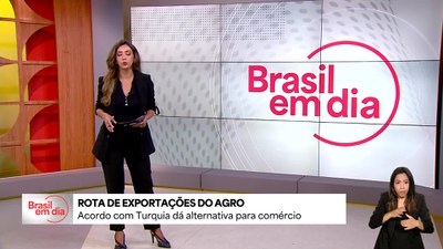 Brasil fecha acordo com Turquia para garantir rota alternativa para exportações de produtos do agronegócio