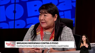 Brigadas indígenas contribuem no combate a queimadas