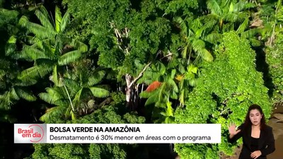 Desmatamento é 30% menor em áreas atendidas pelo programa Bolsa Verde