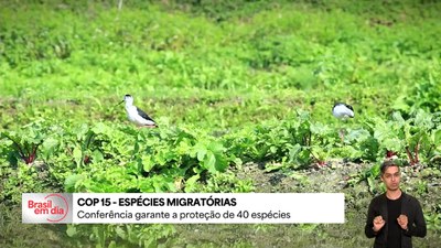 COP 15 termina em Campo Grande (MS) com 40 espécies protegidas