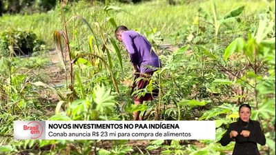 Conab anuncia R$ 23 milhões para compra de alimentos dos povos indígenas