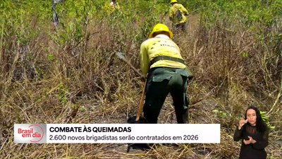 Combate às queimadas: 2,6 mil novos brigadistas serão contratados em 2026