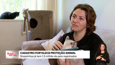 Sinpatinhas: cadastro de cães e gatos completa um ano com mais de 1 milhão de animais