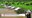 Programa Cisternas na Amazônia: 6 mil equipamentos em instalação
