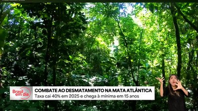 Desmatamento da Mata Atlântica registra queda histórica de 40%