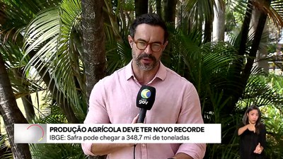 Safra de grãos: Conab e IBGE projetam produção histórica