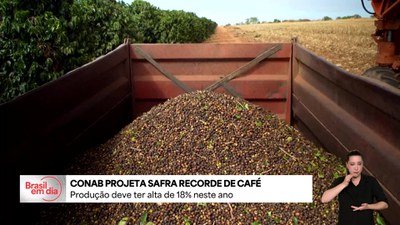 Conab:  Brasil deve registrar neste ano a maior safra de café da história