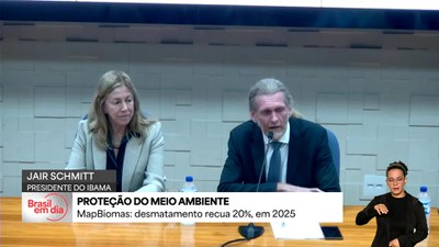 Desmatamento registra queda na vegetação nativa em 2025