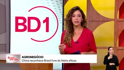 China reconhece Brasil como país livre de febre aftosa sem vacinação