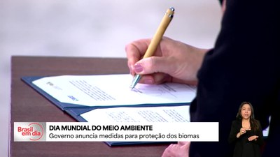 Em alusão ao Dia Mundial do Meio Ambiente, governo anuncia ações para proteção de biomas