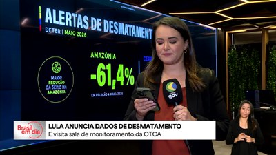Lula anuncia dados de desmatamento