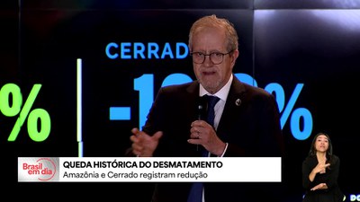 Amazônia e Cerrado registram redução histórica do desmatamento
