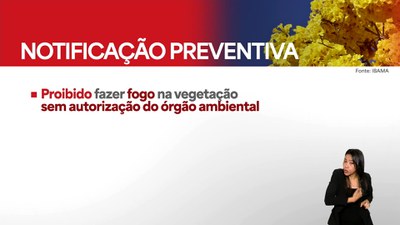 Ibama dá início ao combate preventivo de incêndios florestais na Amazônia com a Operação Apoena