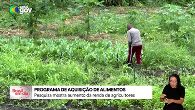 Com PAA, renda da agricultura familiar cresce até 30% e dependência do CadÚnico cai