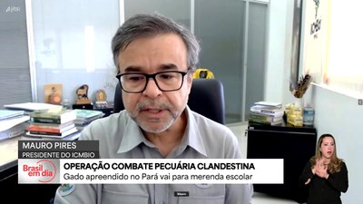 Fiscalização ambiental desmobiliza redes de pecuária clandestina e garimpo ilegal no Pará