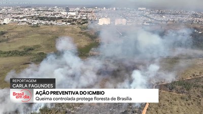No DF, ICMBio realiza ação para prevenir e controlar incêndios