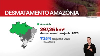 Desmatamento na Amazônia e no Cerrado continua em queda em junho