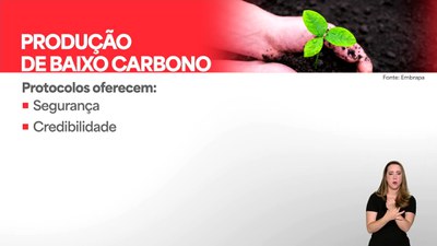 Confira as notícias desta quarta-feira (15/7) no Brasil em Dia, do Canal Gov