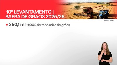 Safra de grãos deve chegar a mais de 360 milhões de toneladas