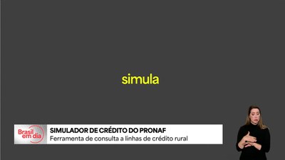 Simulador consulta acesso à linhas de crédito rural