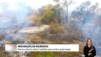Ibama orienta sobre medidas de prevenção de incêndios