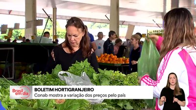 Preço do tomate negociado nas principais Ceasas brasileiras tem queda média de 15,85%