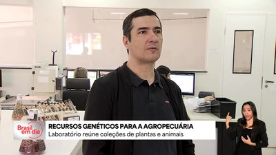 Laboratório da Embrapa armazena recursos genéticos de plantas e animais