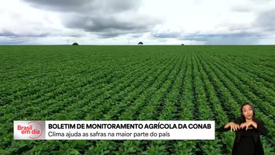 Clima ajuda safras na maior parte do país, aponta Conab