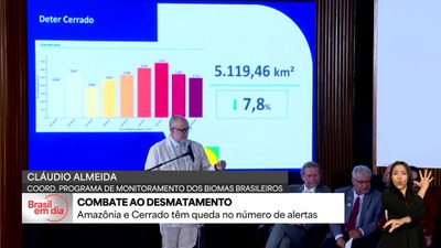 Brasil tem redução dos alertas de desmatamento na Amazônia e no Cerrado