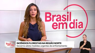 Bom Dia, Ministro: governo adota medidas de enfrentamento a incêndios florestais na Região Norte