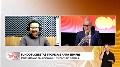 Bom Dia, Ministro: Fundo Florestas Tropicais para Sempre tem mais US$ 500 milhões anunciados pelos Países Baixos