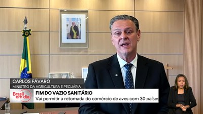 Fim do vazio sanitário permite retomada do comércio de aves com 30 países