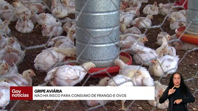 Boletim Gov Notícias - 19/5/2025 - 17h