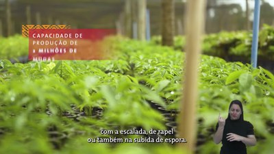 Reflorestamento, conscientização e combate ao incêndio - episódio 02